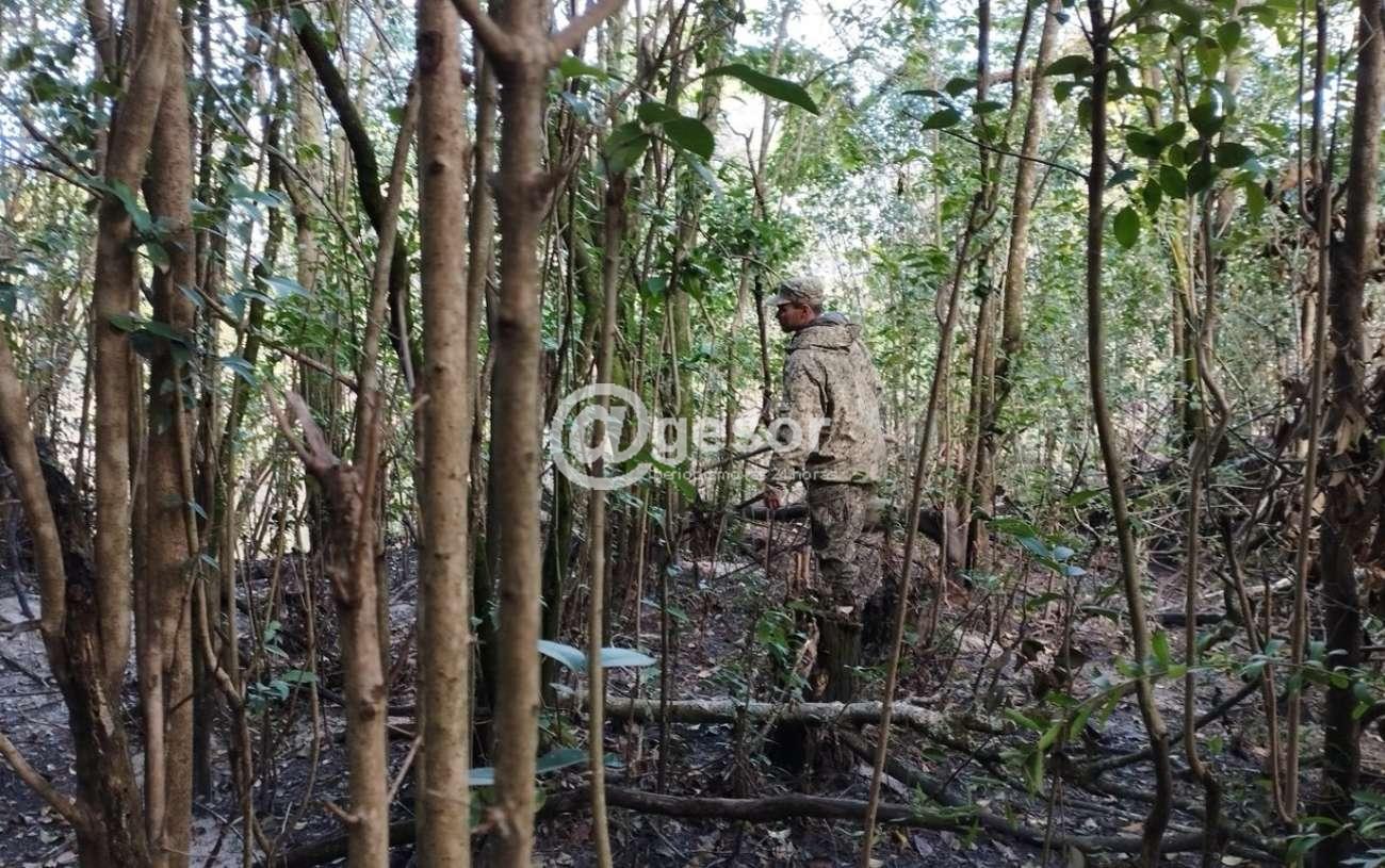 Image8